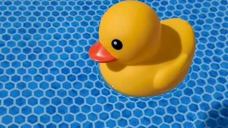 水風呂に浮かぶアヒル